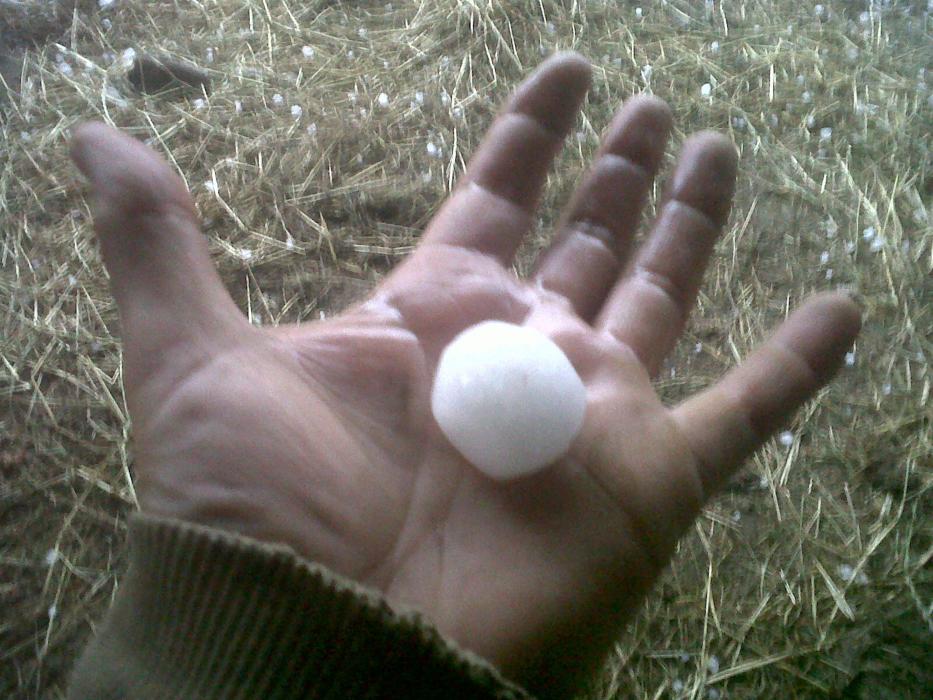 SUROCCIDENTE/CANGAS.- Granizo y daños. Las viñas no resultaron afectadas