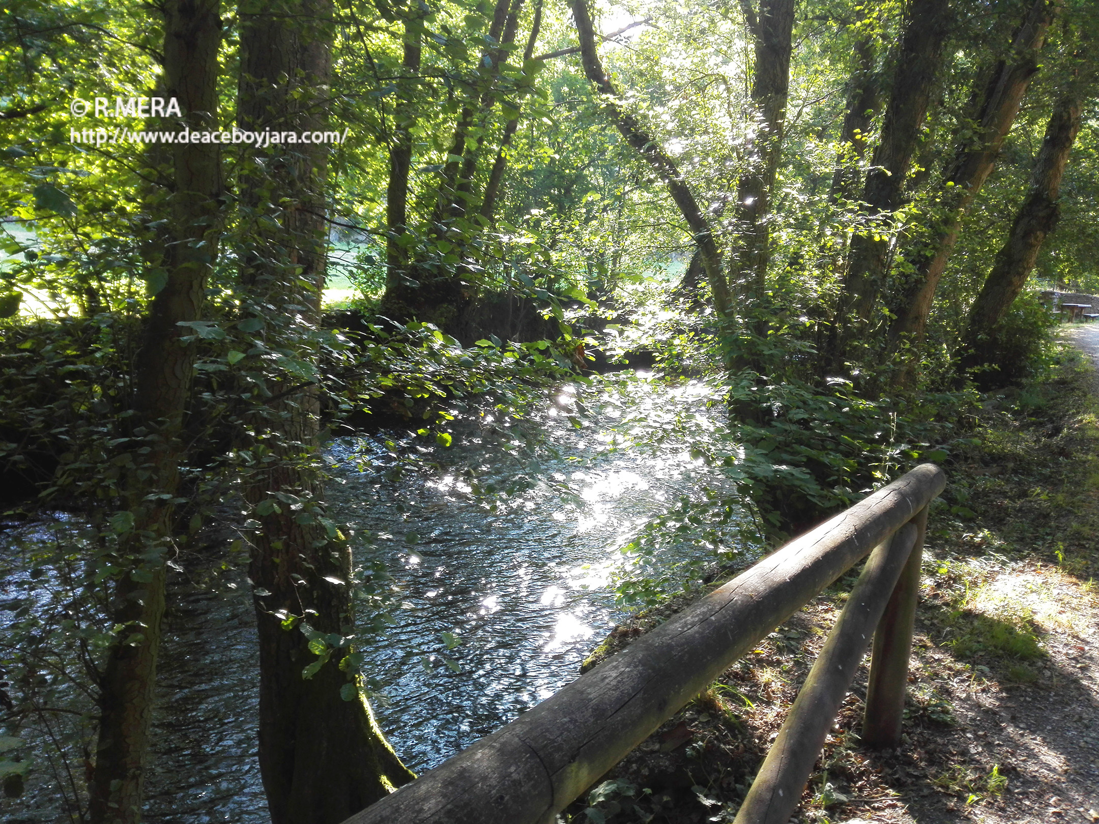 CANGAS DEL NARCEA.- Juegos de verano