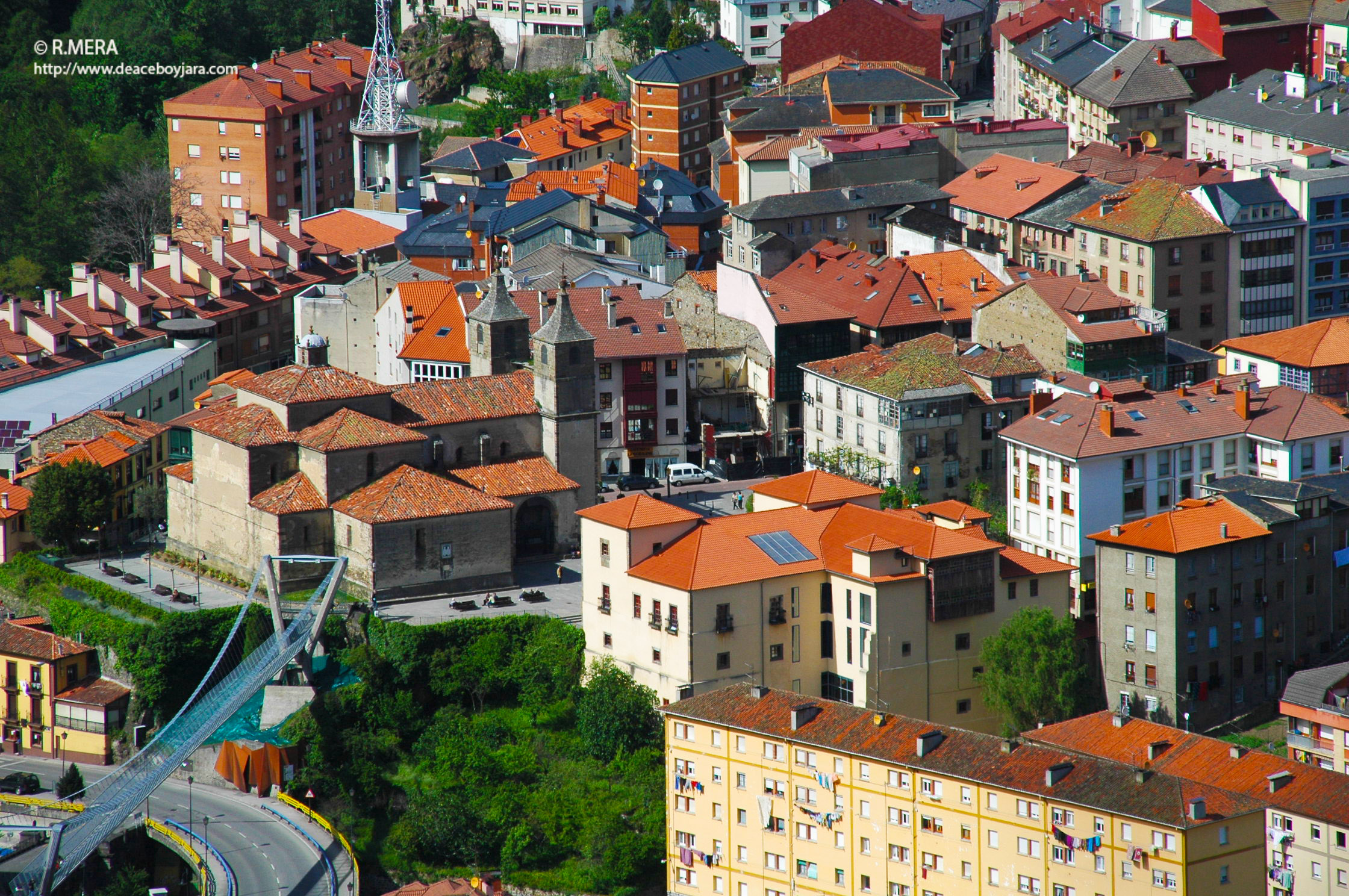 CANGAS DEL NARCEA.- La foto y su pie: Nidos urbanos