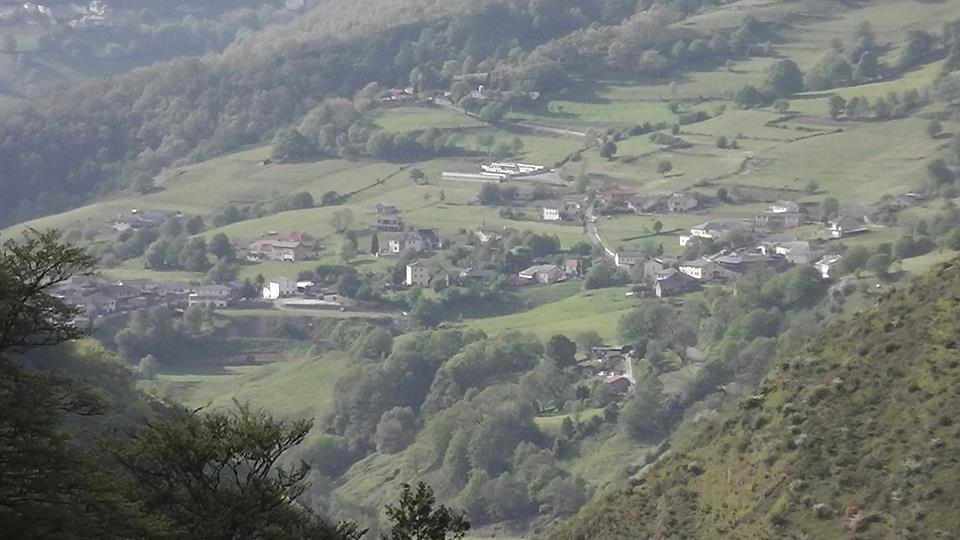 CANGAS DEL NARCEA.- En apoyo de los ganaderos cangueses