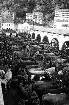 Aquellos mercados