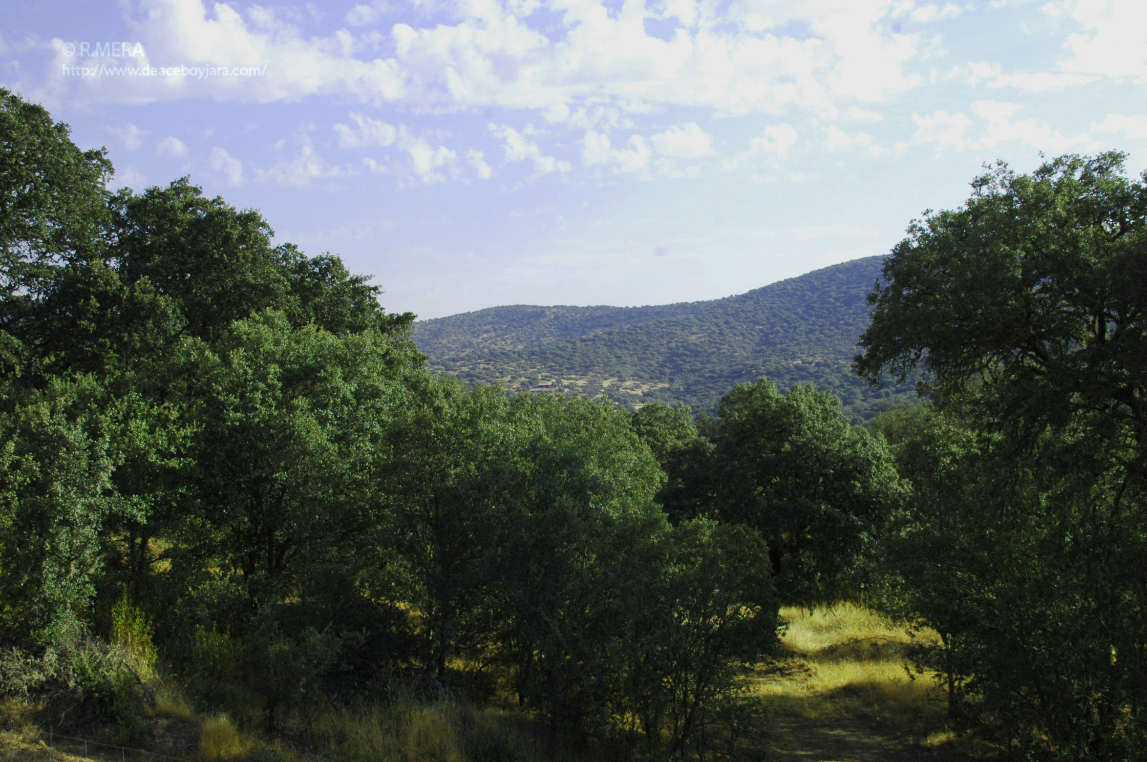 BERZOCANA.-La Foto y su pie: La Dehesa