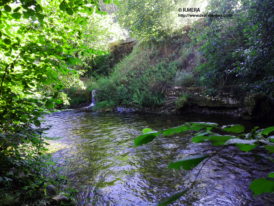 CANGAS DEL NARCEA.- La foto y su pie: Para vosotros