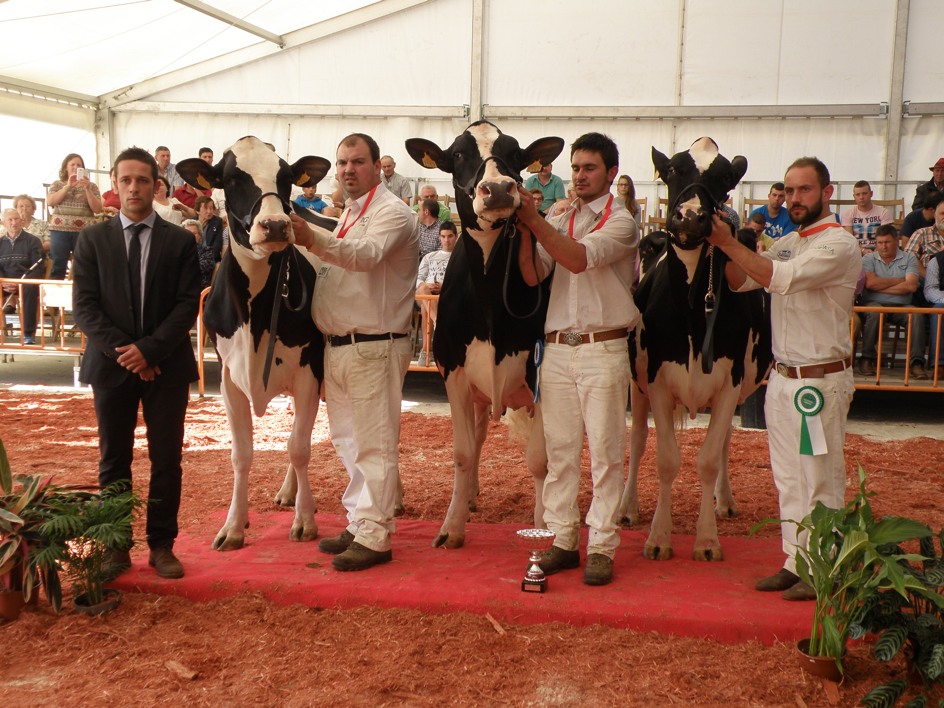 TINEO.- XXVI Concurso de Ganado en el recinto ferial de Santa Teresa.