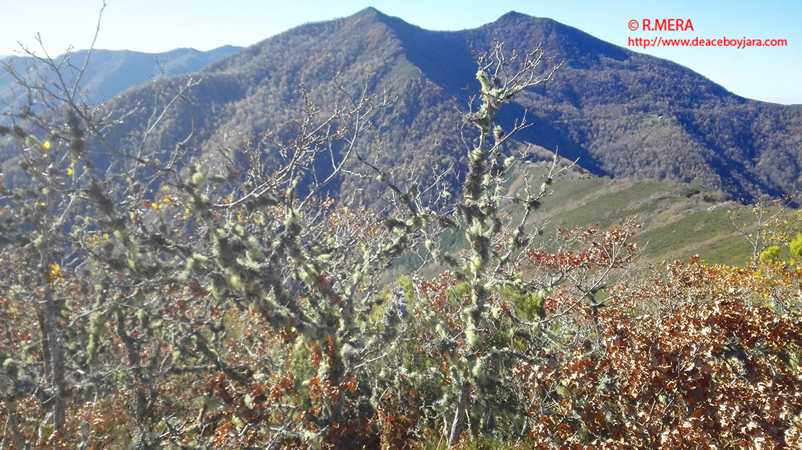 SUROCCIDENTE.- Parque de Fuentes: Vuelta a empezar y sentencias de ida y vuelta