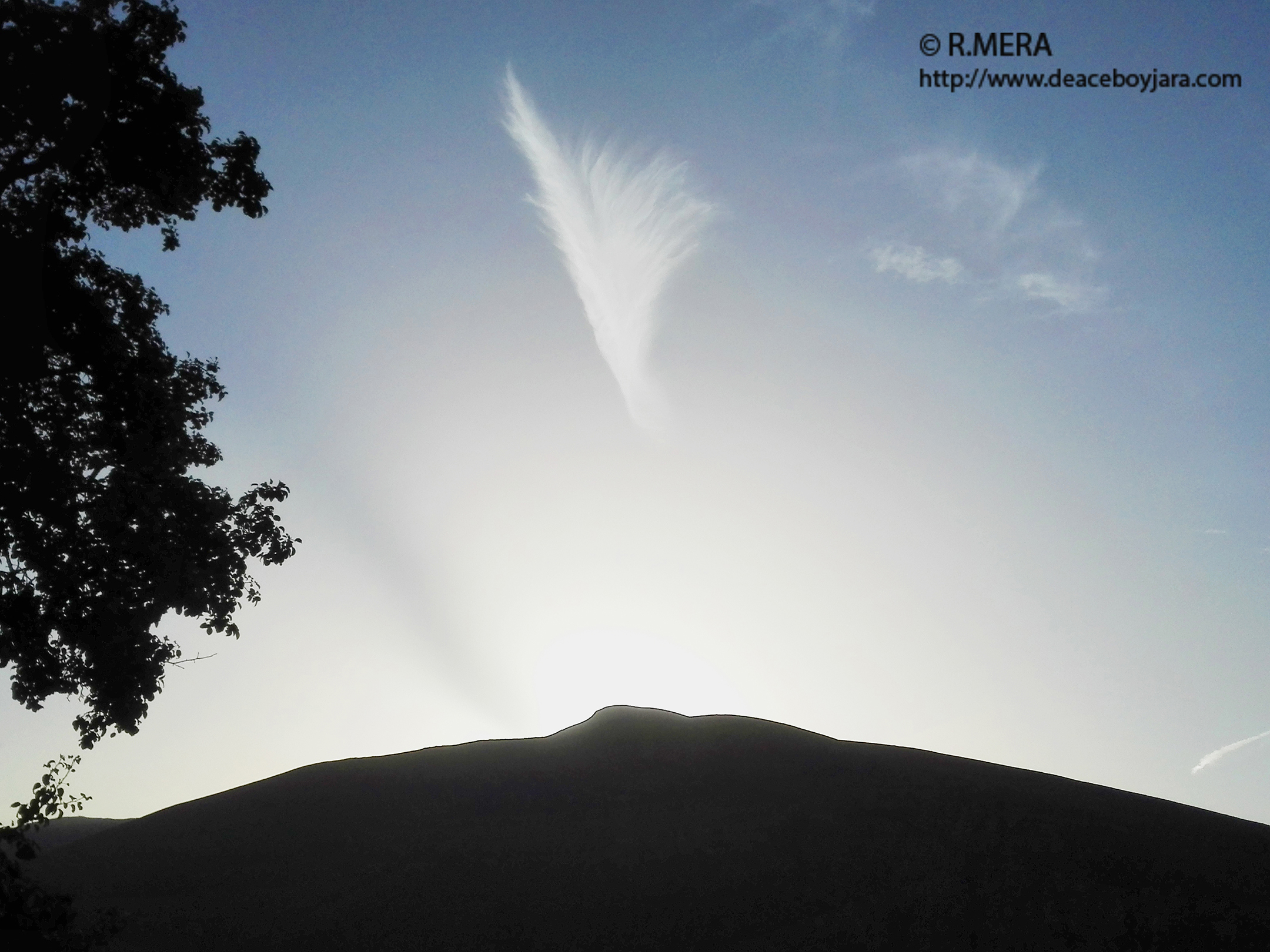 CANGAS DEL NARCEA.- La foto y su pie: Una pluma en el cielo