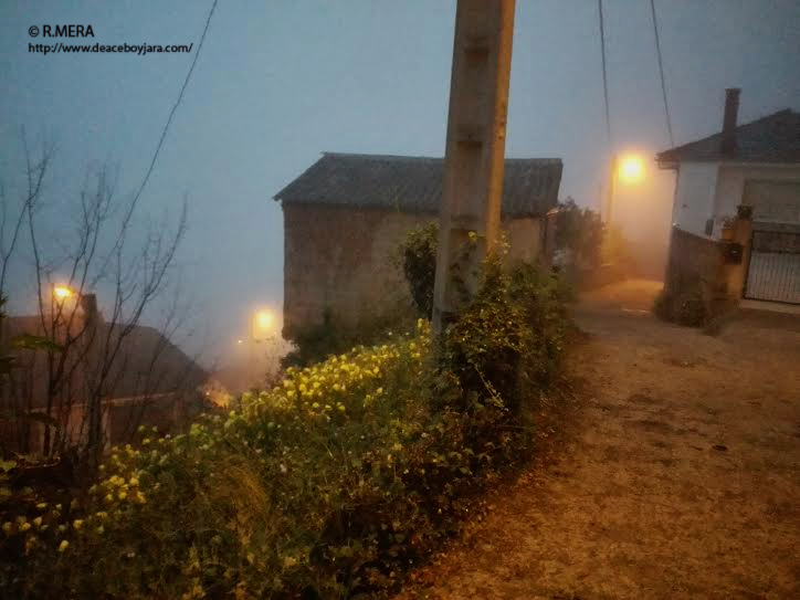 NARCEA/BERZOCANA- La foto y su pie: Vuelta a la niebla