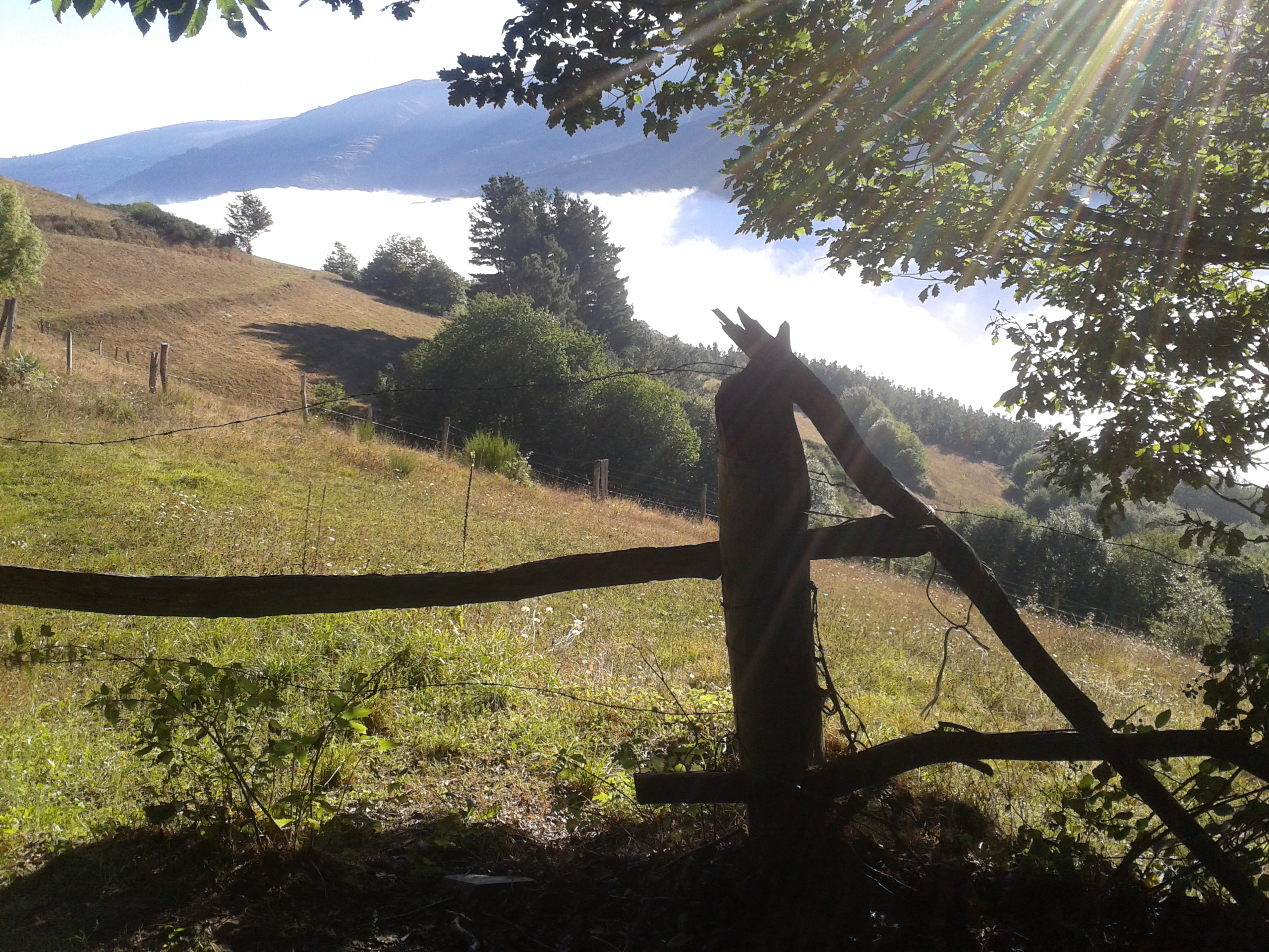 CANGAS DEL NARCEA.- Concurso de fotografía en la ortopedia Pereda