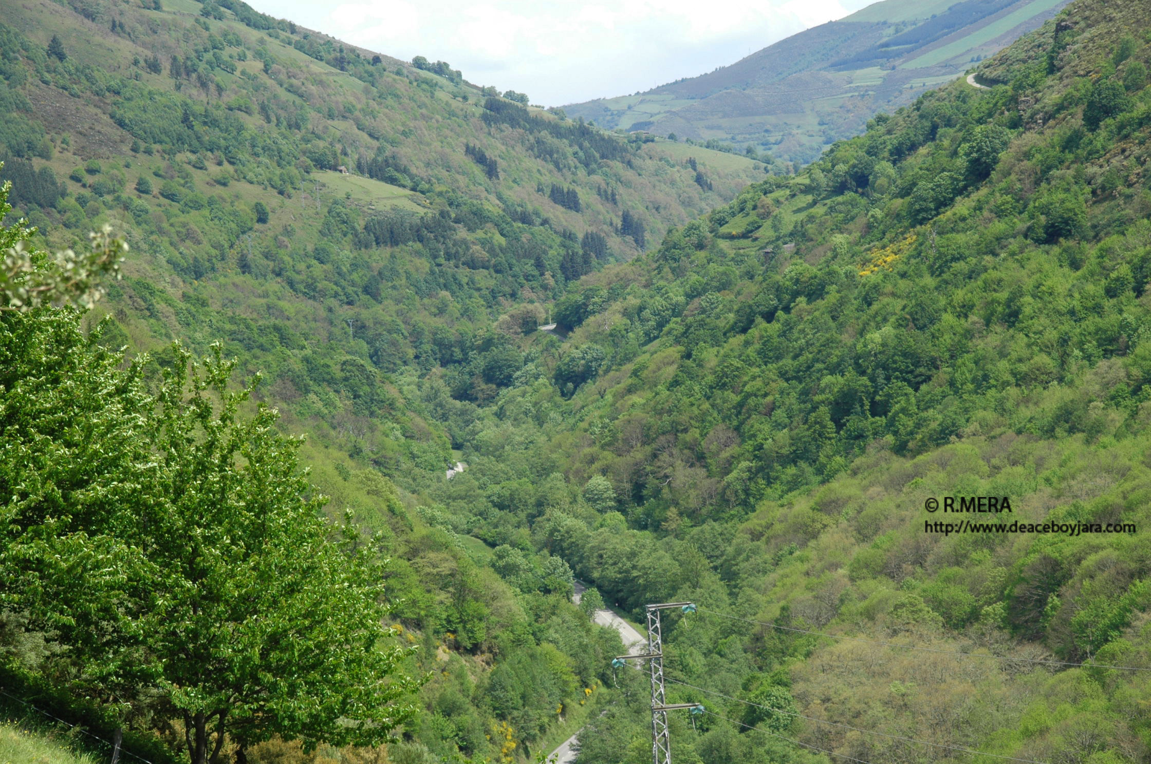 CANGAS DEL NARCEA.- Miedo al oso