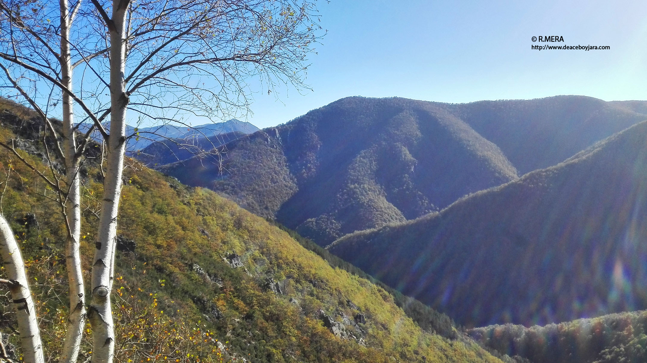 CANGAS DEL NARCEA.- Memoria económica del Parque Natural de Fuentes del Narcea