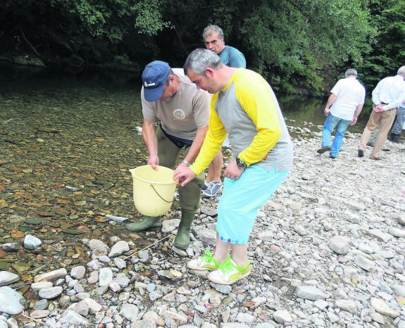 CANGAS DEL NARCEA.- “Las Mestas” piden poder repoblar los ríos de Cangas