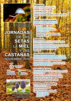 carteles-jornadas-de-las-setas-2016