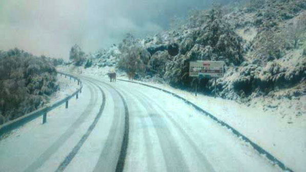 NARCEA.- La foto y su pie: Nieve