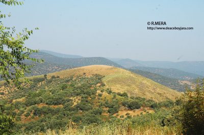 El Cerro de las Viñas