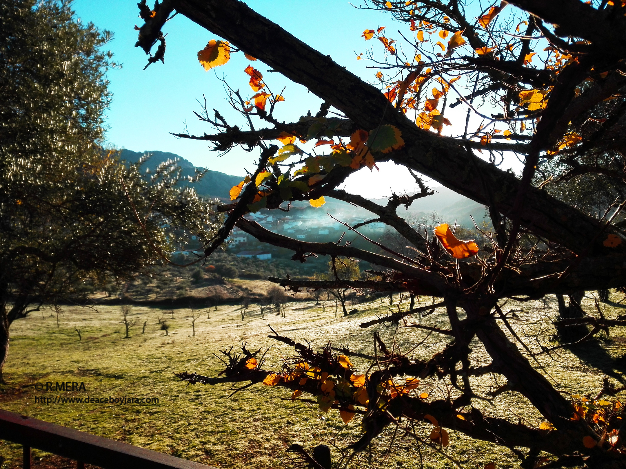 La foto y su pie: Llegó el invierno