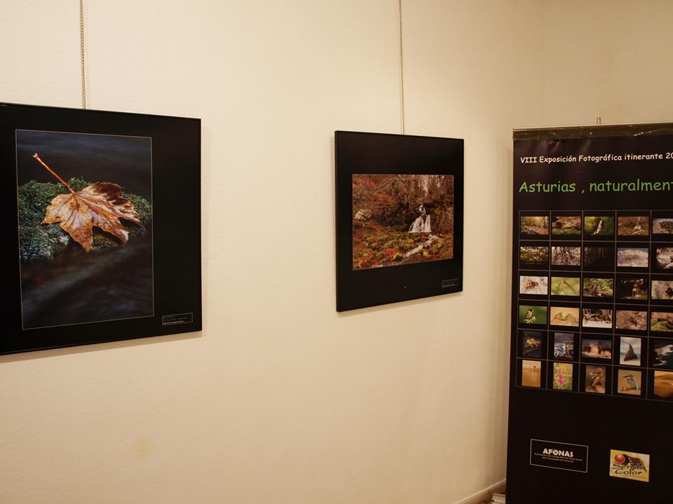 TINEO.- Exposición de fotografía de naturaleza