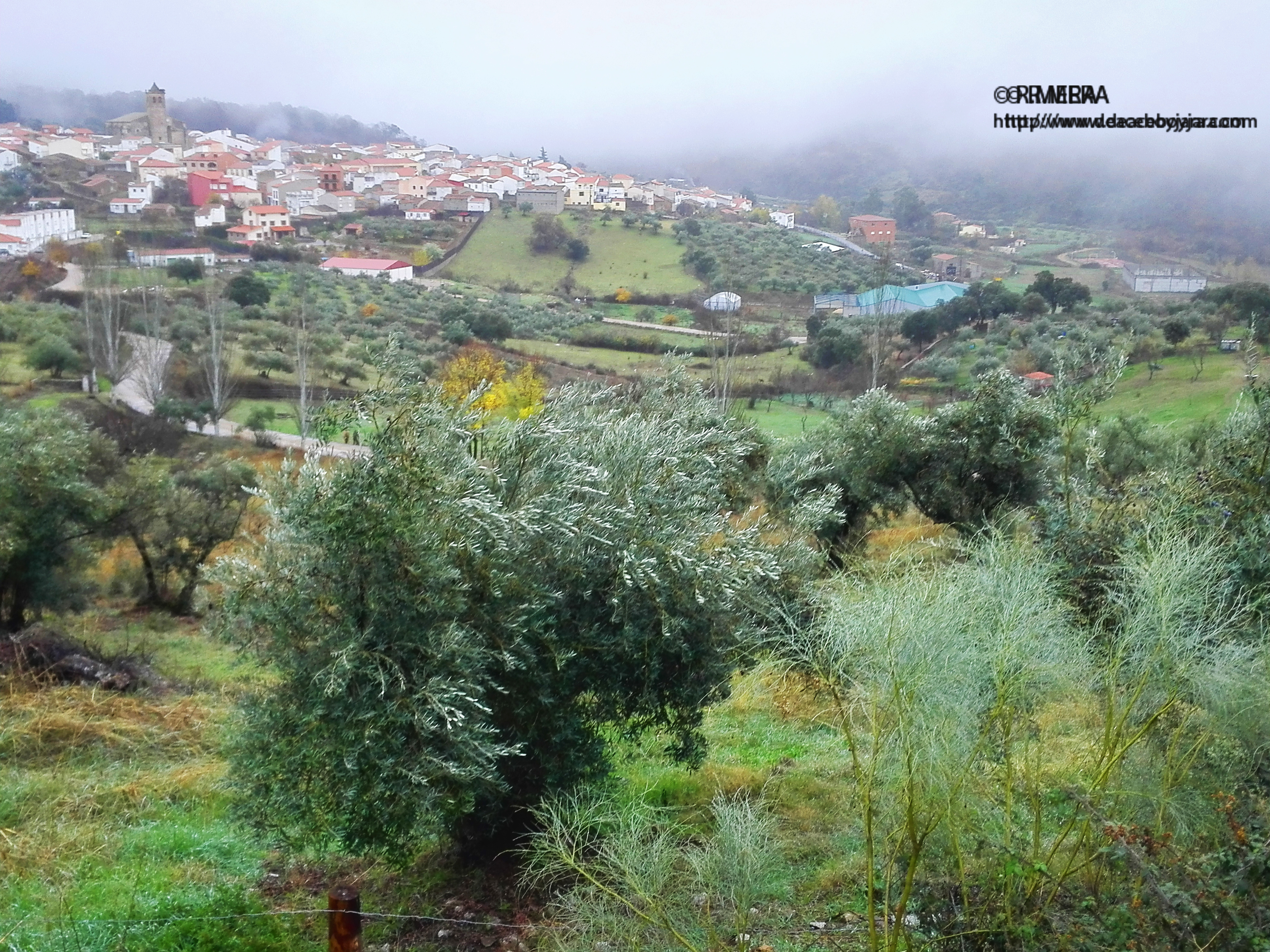 La foto y su pie.- Invierno