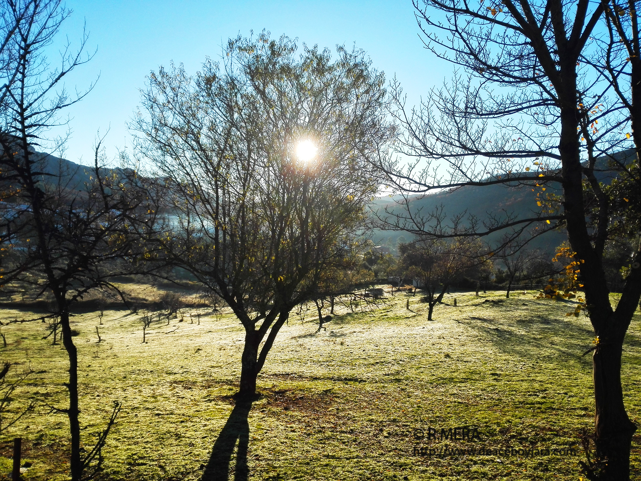 La foto y su pie.- El invierno