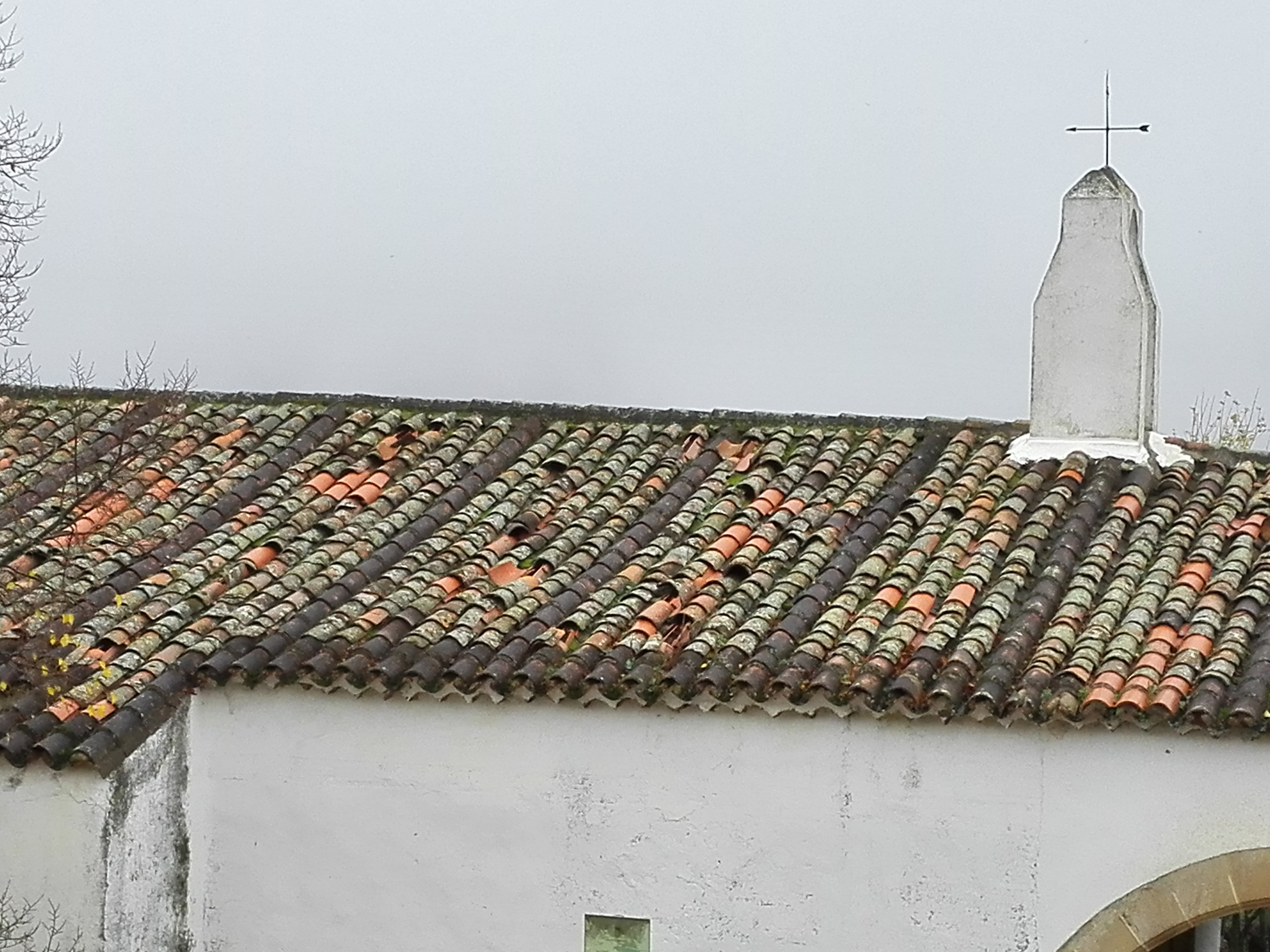 La foto y su pie: El  tejado de la Concepción