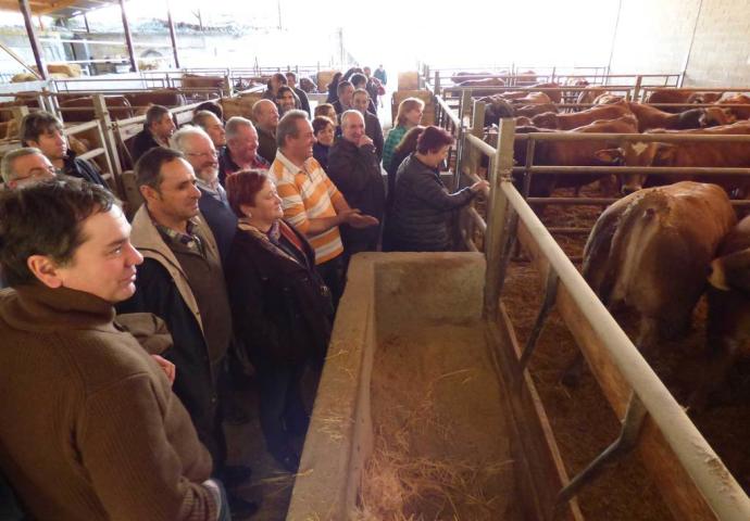 CANGAS DEL NARCEA.- Un cebadero de primera en Cibuyo