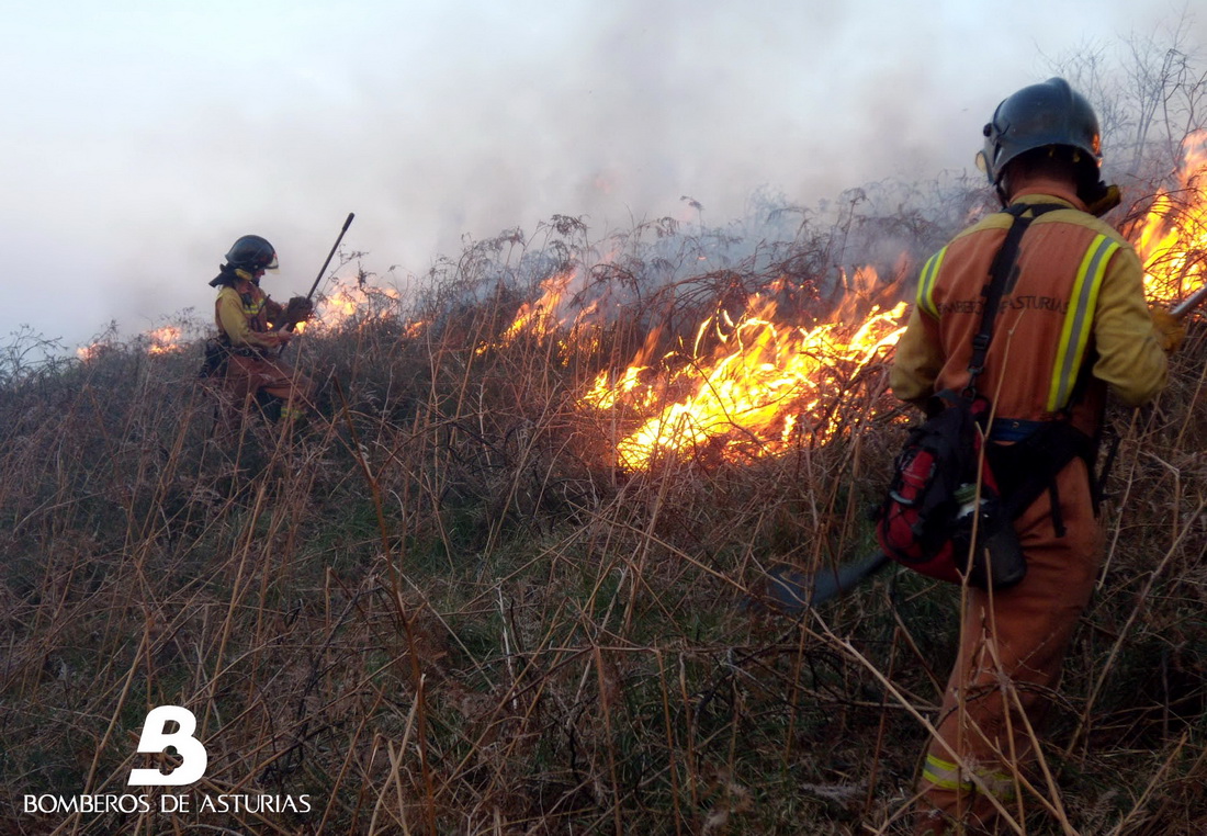 TINEO.-Investigan la implicación de un vecino de Tineo en un incendio