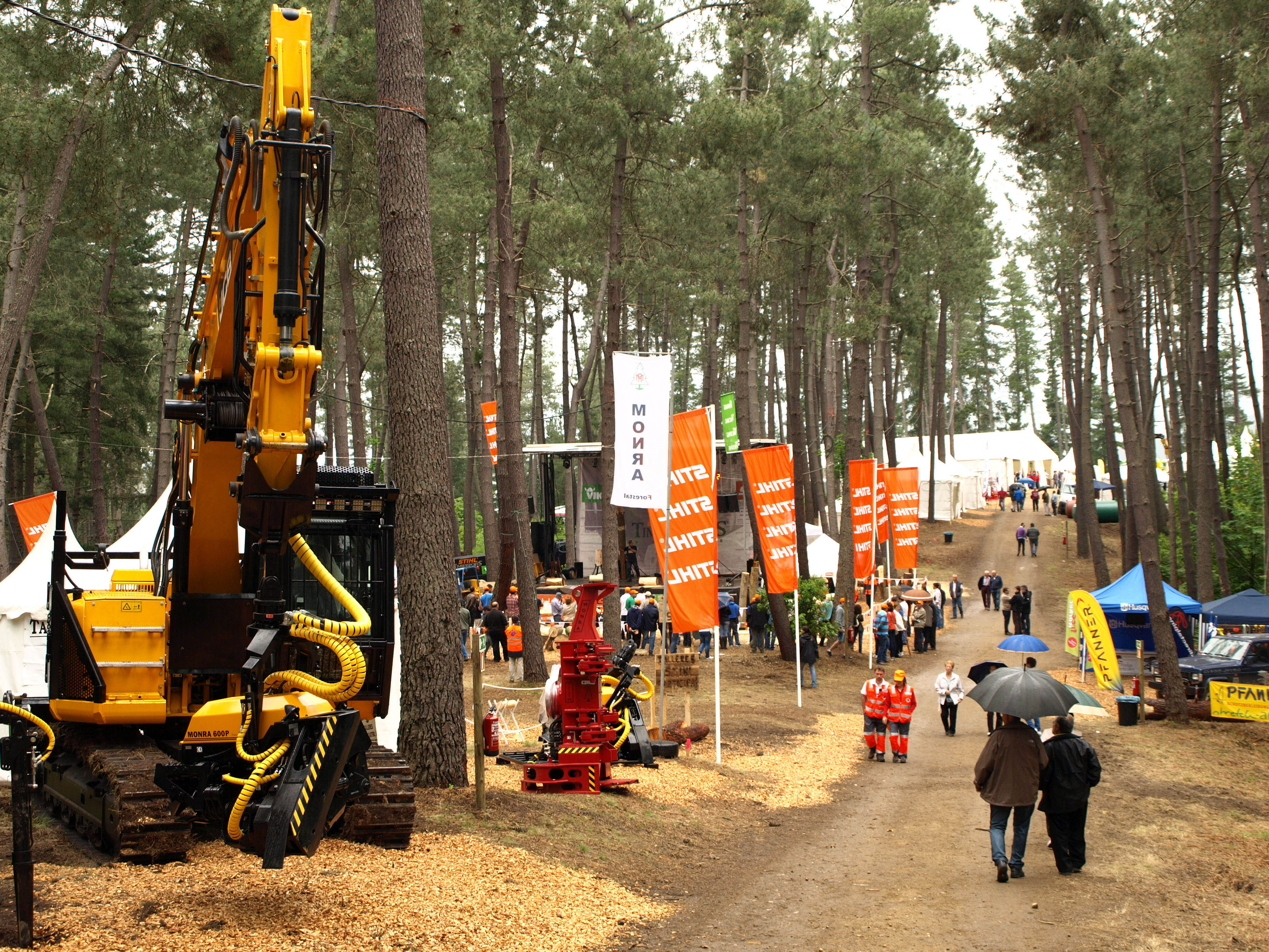 TINEO- El Ministerio de Agricultura se integra en el Comité Organizador de Asturforesta.