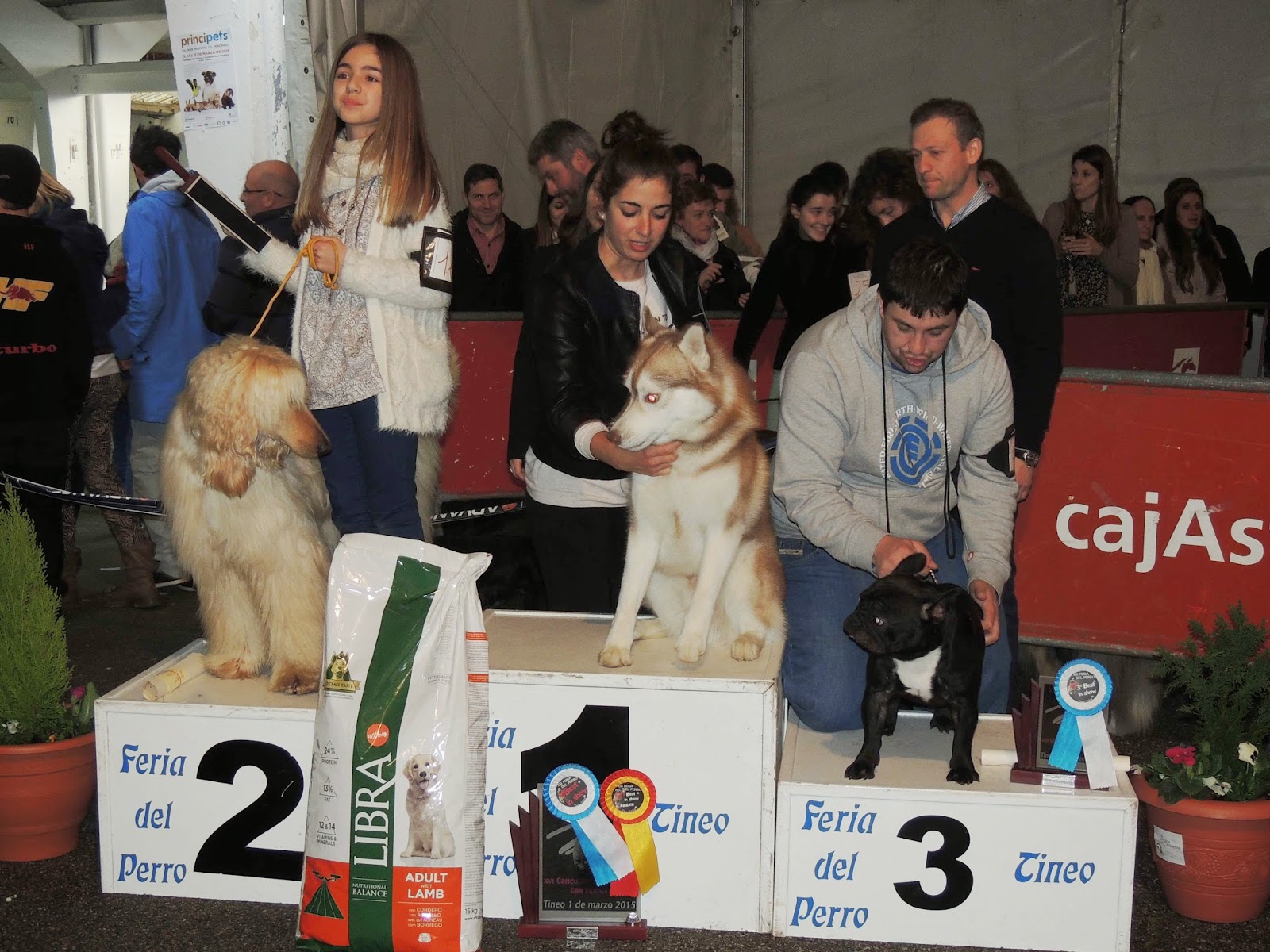 TINEO.- Feria del Perro y concursos caninos este fin de semana. Hoy, cros solidario
