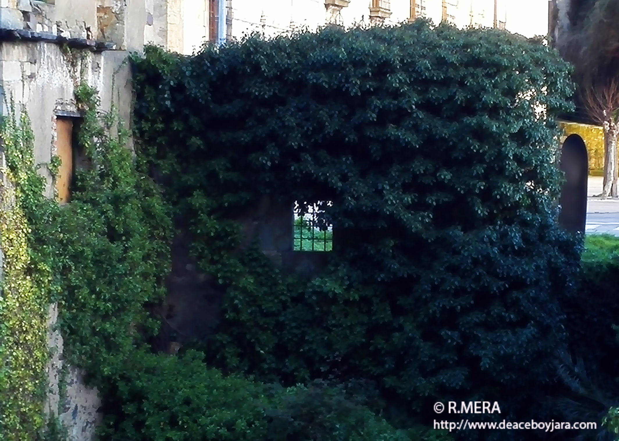 La foto y su pie.- Una ventana a la nada