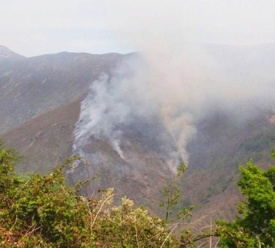 CANGAS DEL NARCEA.-  Incendio en Muniellos