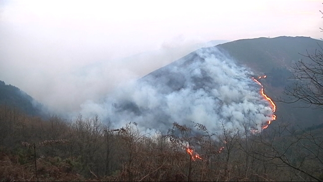 CANGAS DEL NARCEA. No habrá ayudas de la PAC para terrenos quemados mientras no recuperen la cubierta vegetal