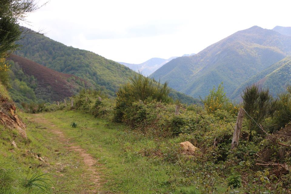 CANGAS DEL NARCEA.- Moal pide actuaciones para prevenir incendios forestales