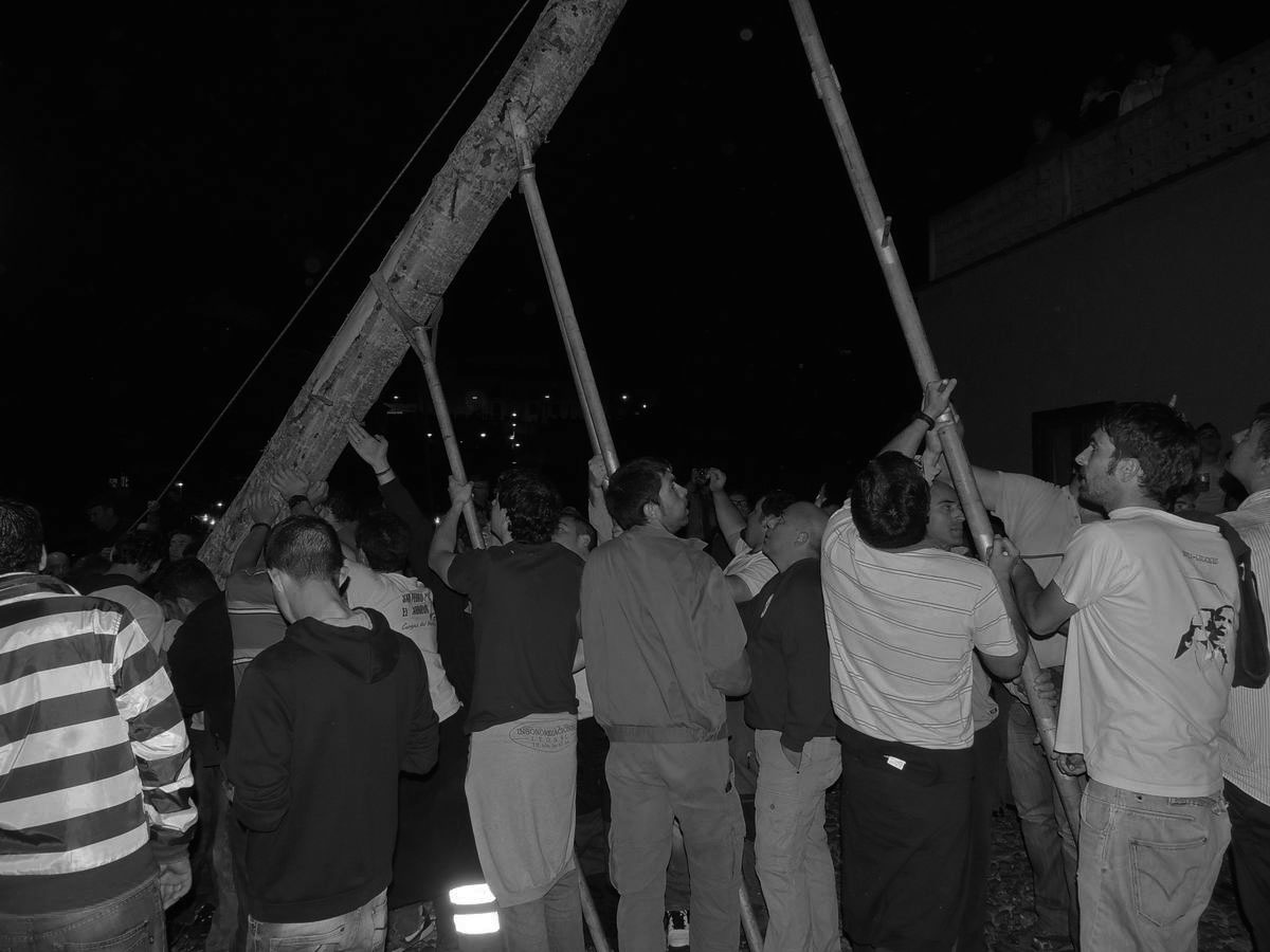 CANGAS DEL NARCEA.- Izando el Arbolón (II)