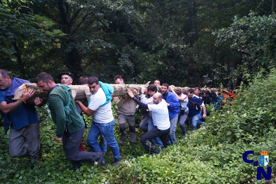 CANGAS DEL NARCEA.- El Arbolón, crónica indirecta