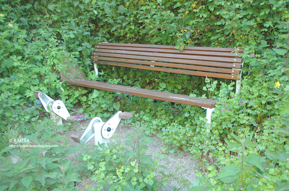 CANGAS DEL NARCEA.- Deterioro del Paseo del Vino en sus dos tramos. De los autoelogios al olvido