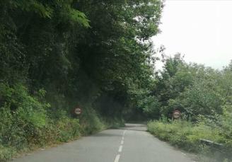 CANGAS DEL NARCEA.- Comienza el desbroce de carreteras en el occidente