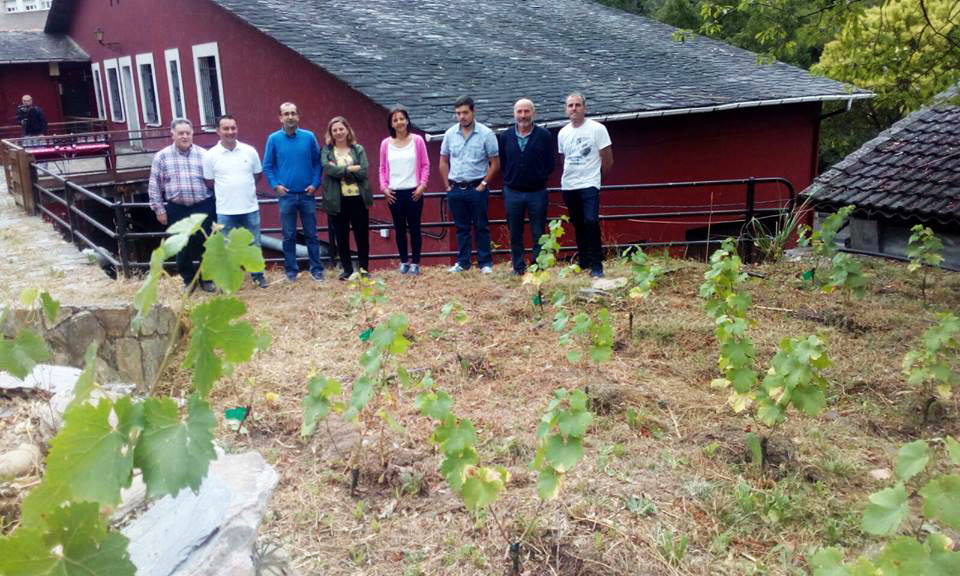 CANGAS DEL NARCEA.- Parcela para el desarrollo de la vid y una mayor unión