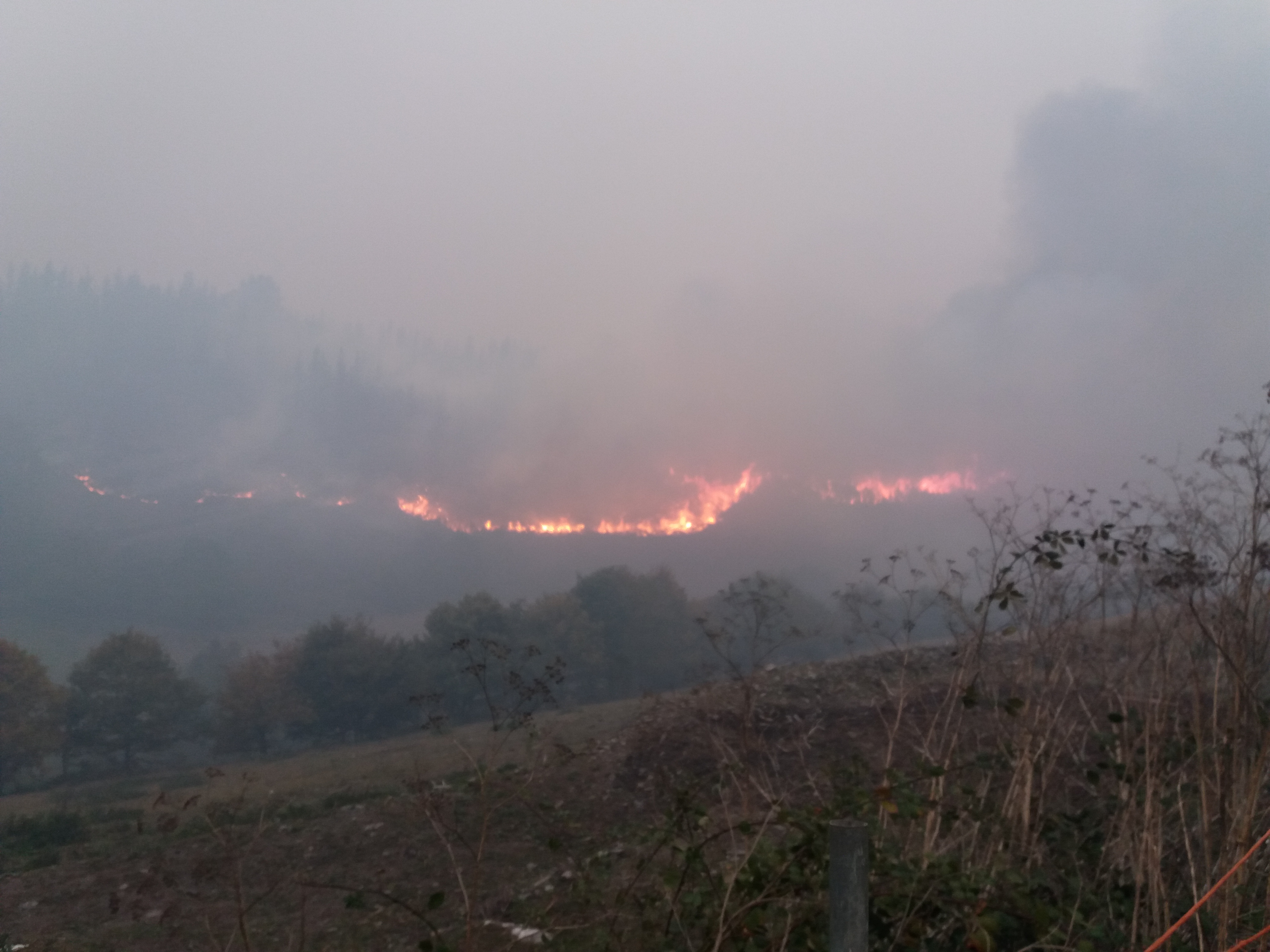 ALLANDE.- Se inicia la recogida de datos sobre daños de incendios