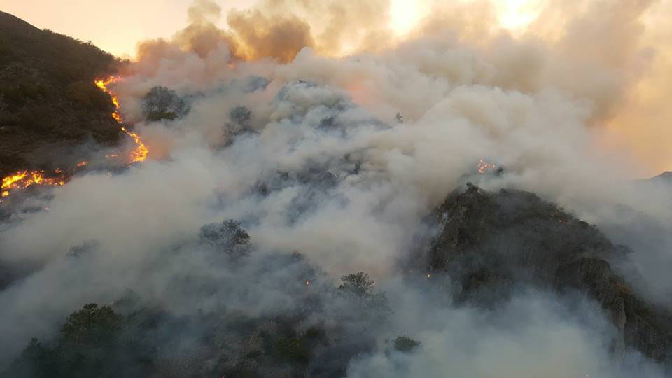 UCA señala: “Acusar a los ganaderos de los incendios es obsceno”