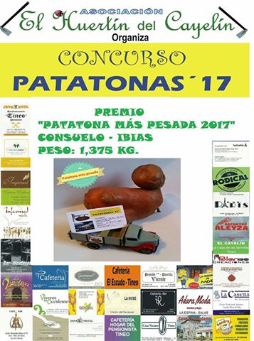 TINEO.- Fallado el concurso “Patatonas 2017”