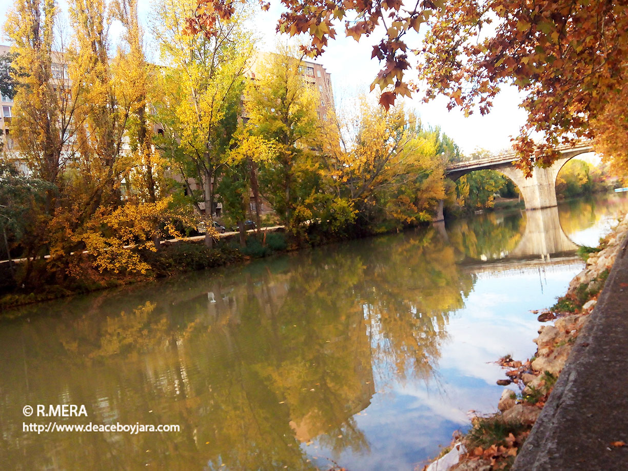 La foto y su pie.- Campos secos, aguas dormidas