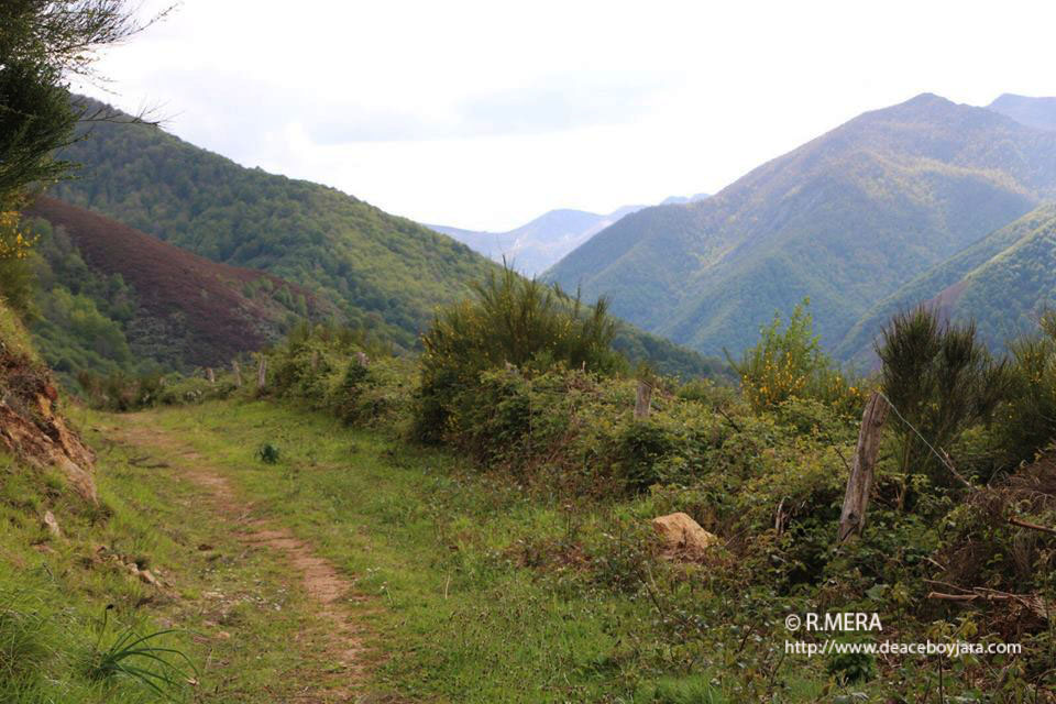 SUROCCIDENTE.- 100.000 euros para el desarrollo de zonas forestales