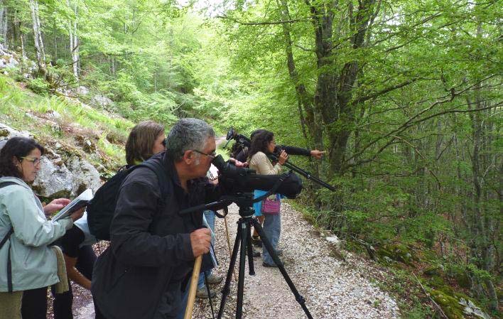 SUROCCIDENTE.-El avistamiento de fauna cómo actividad de turismo