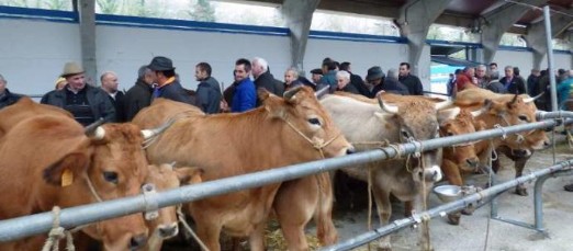 CANGAS DEL NARCEA.- Ya no hay “matonas”. Y pronto no habrá ni ferias