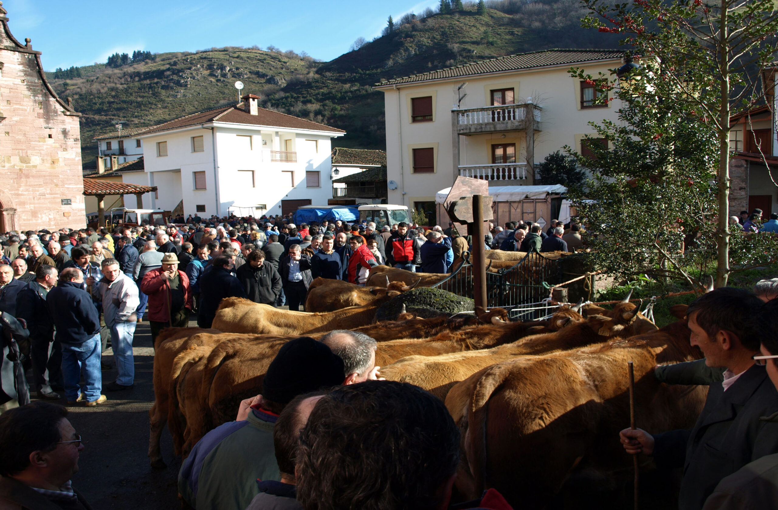 No habrá feria de San Blas ni festival del perro