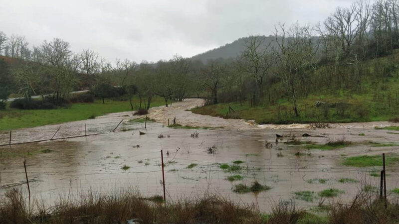 La foto y su pie: Agua llena de promesas