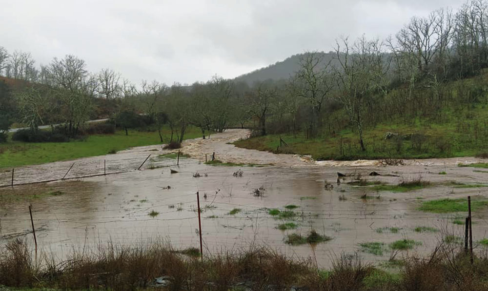 La foto y su pie: Agua llena de promesas