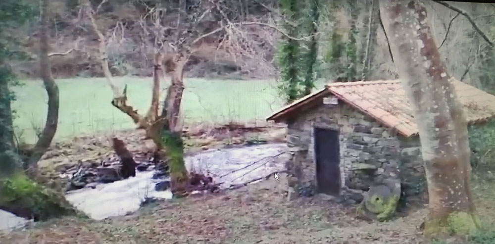 Limpieza de sendas en Allande. La ruta de Valbona