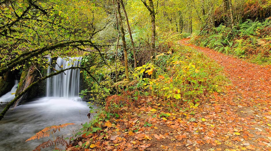 Cangas del Narcea en el ranking de los concejos más visitados