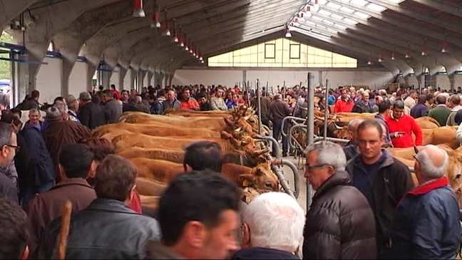 CANGAS.- Suspendida la Feria de Ramos