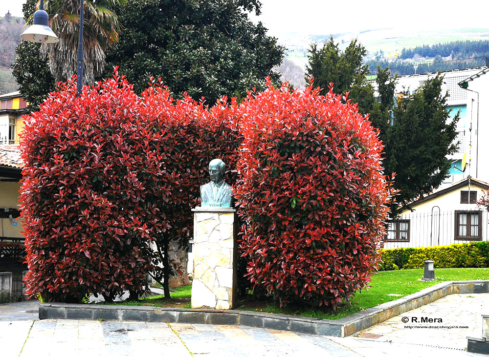 Las veleidades de la Primavera